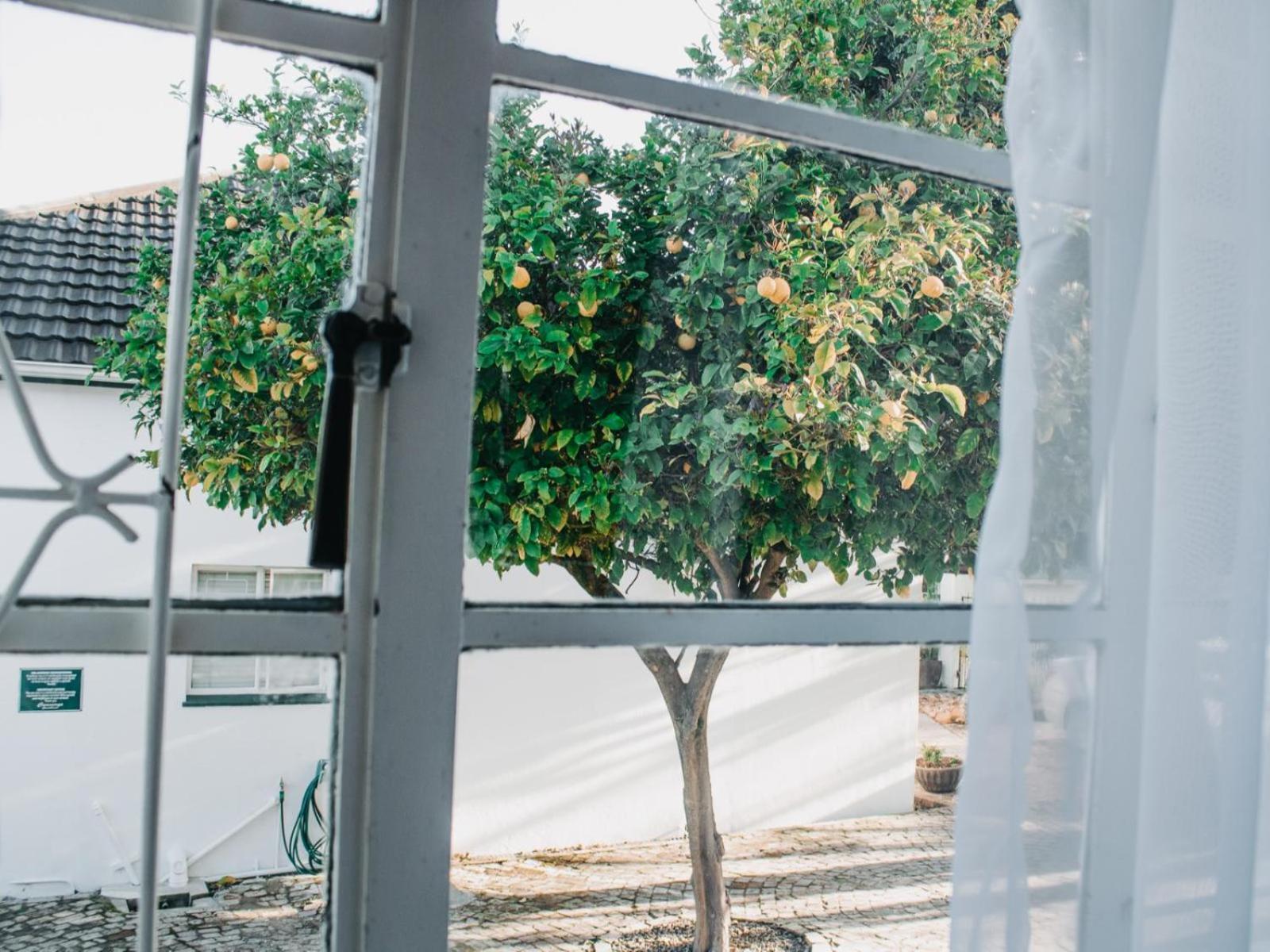 וולינגטון Cummings Guesthouse חדר תמונה